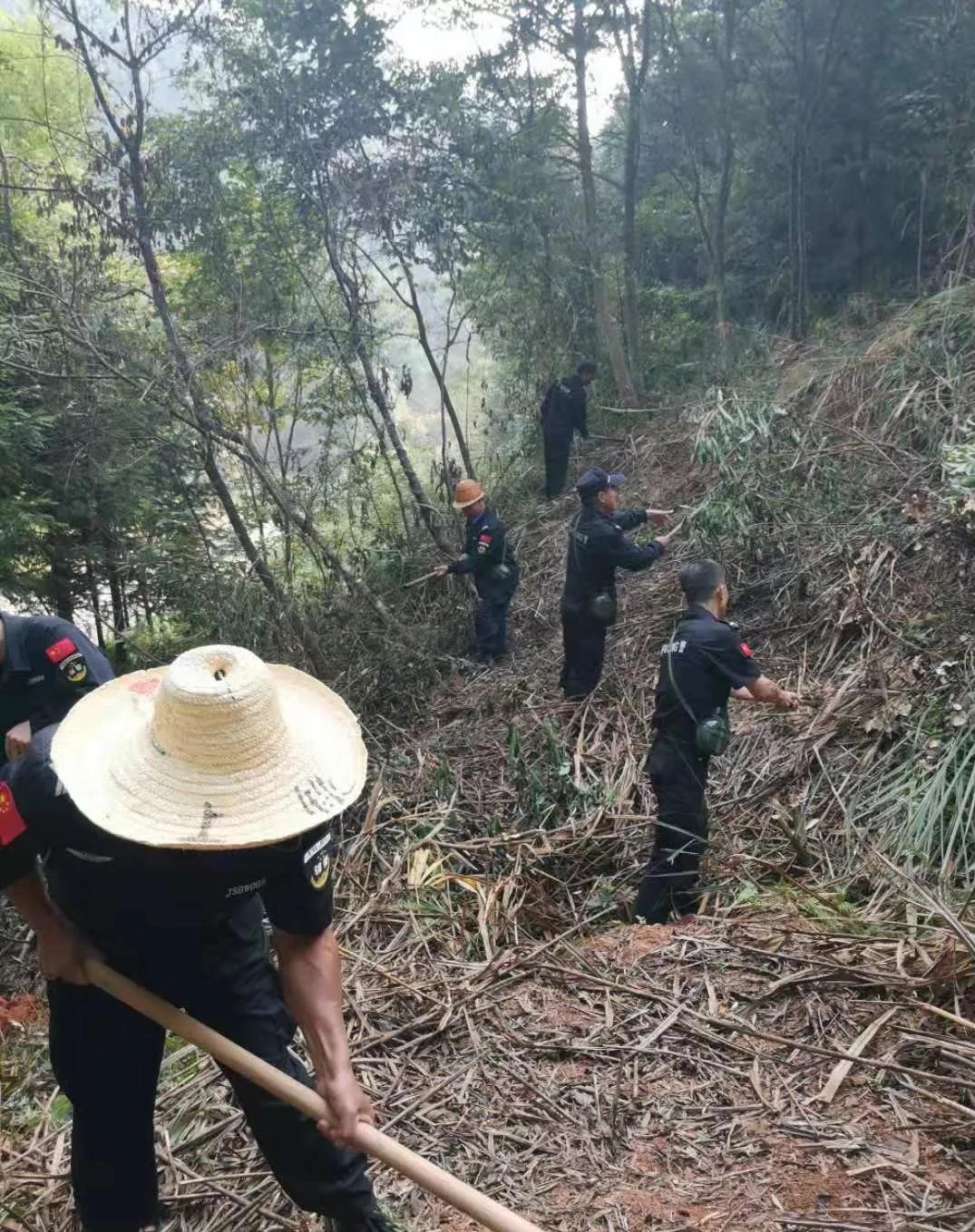 干好每一天|青山掛白我復(fù)綠，無私奉獻(xiàn)金森人——資源保護(hù)部義務(wù)突擊隊(duì)工作記實(shí)