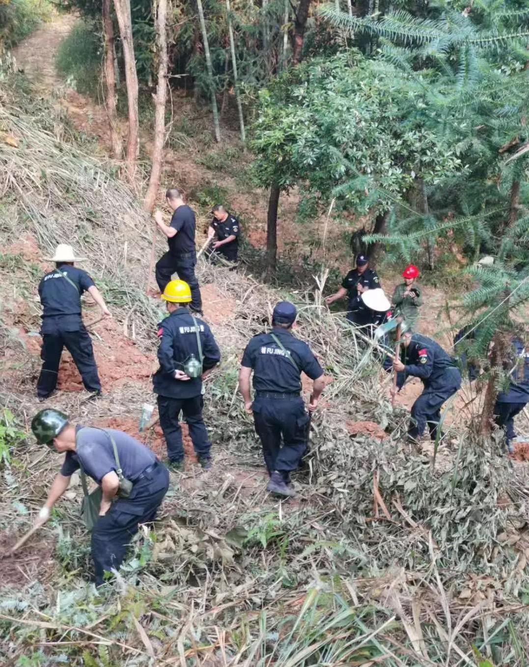 干好每一天|青山掛白我復(fù)綠，無私奉獻(xiàn)金森人——資源保護(hù)部義務(wù)突擊隊(duì)工作記實(shí)