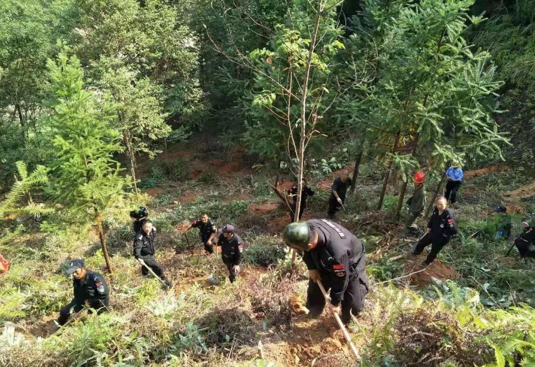 干好每一天|青山掛白我復(fù)綠，無私奉獻(xiàn)金森人——資源保護(hù)部義務(wù)突擊隊(duì)工作記實(shí)