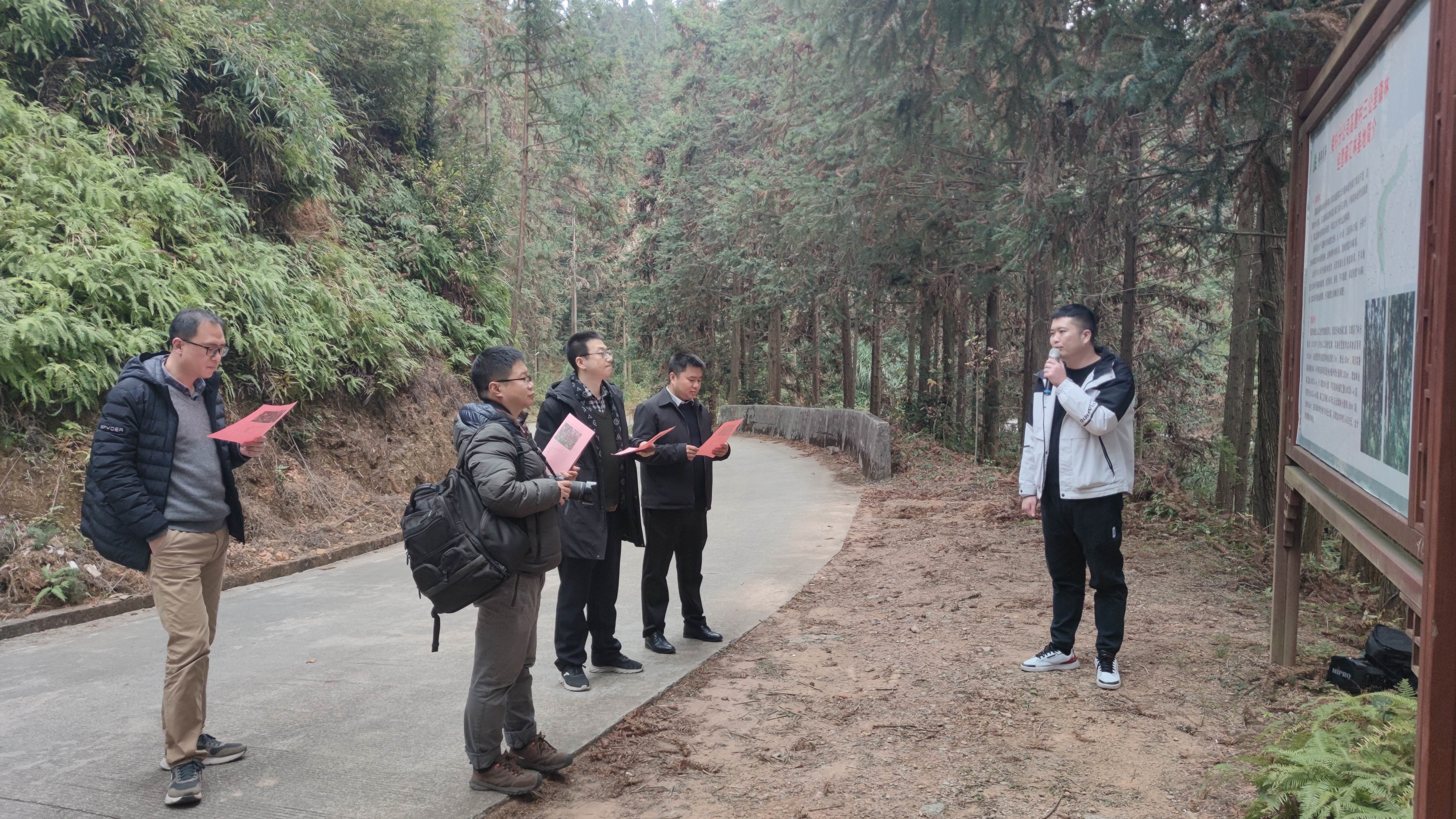 福建金森與上海園林集團(tuán)——強(qiáng)強(qiáng)交流促合作，共繪林改新藍(lán)圖